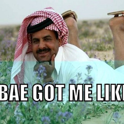 ArabDestroyer