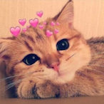 V7_sword69's Avatar'