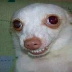 CS_Vliegiekind's Avatar'