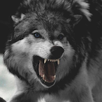 HuskyGin's Avatar'
