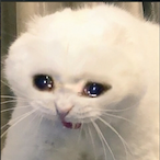 hemsinli53's Avatar'