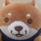 Jb_bv's Avatar'
