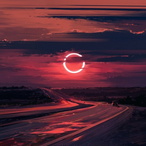 SadSeekz's Avatar'