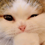 levelfivegooner's Avatar'