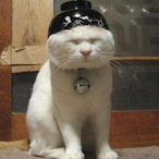 MS-PowerPoint's Avatar'