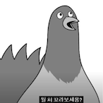 AngMoSeDo's Avatar'
