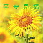 Peace_1ove's Avatar'