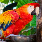 Maxikahh.TGG's Avatar'