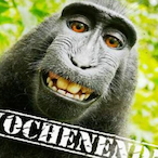 Twitch_sead_ttw's Avatar'