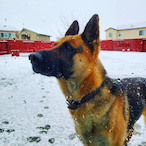 freaksisco's Avatar'