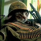 Thunderbolt9999's Avatar