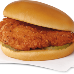SPICY_SAMMY