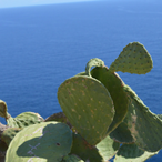 xDay_Thorus's Avatar