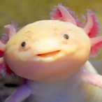 SilentVoid4's Avatar'