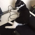 pearl_respect98's Avatar'