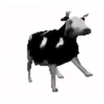 swinngg 4L's Avatar'