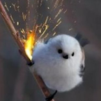 MrBirb-'s Avatar'