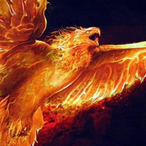 holdynhakil's Avatar