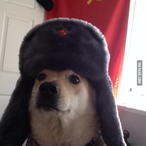 westvyko's Avatar'