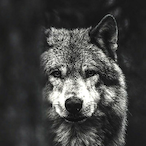 PublishedByMe's Avatar'