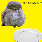 MonkeyMang12's Avatar'