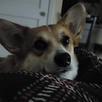 ashinatorr's Avatar'