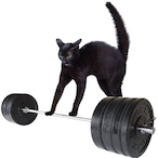 RIP_Skillbeard's Avatar'