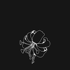Jan_hwa's Avatar'