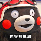 ppsj262's Avatar'
