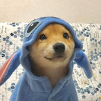 SmolGhostieBoi's Avatar'