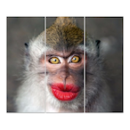 Assi_TOPMODEL's Avatar'