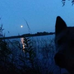 GOOSE._._._.'s Avatar'