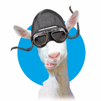 II_JG1Klaiber's Avatar