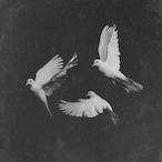 fvxr.'s Avatar'