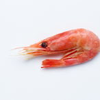 Verstompn.'s Avatar'