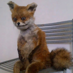 Lisevich34's Avatar'