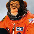 El_Ganzo_Manzo's Avatar'