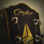 Condor-LP2's Avatar'