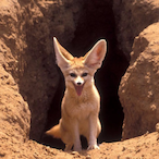 Garlic.Bread's Avatar'