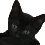 UncleAlexa's Avatar'