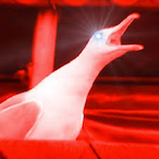 YAMERO111111111's Avatar'