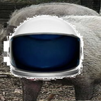 TF2Maggot's Avatar'