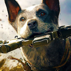 Captain_PuppyO's Avatar'