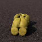 SlowPelican's Avatar'