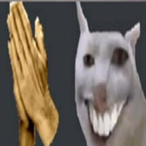 LeadoffPigeon66's Avatar'