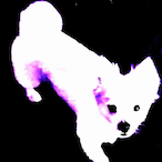 KTM_KR1_88's Avatar'