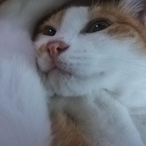 I_am_fuseson3's Avatar'