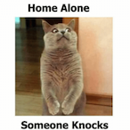 Coin_Enthusiast's Avatar'