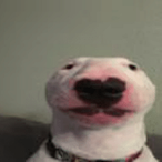 coolben.ben's Avatar'