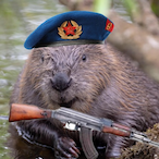 TheKGBeaver's Avatar'